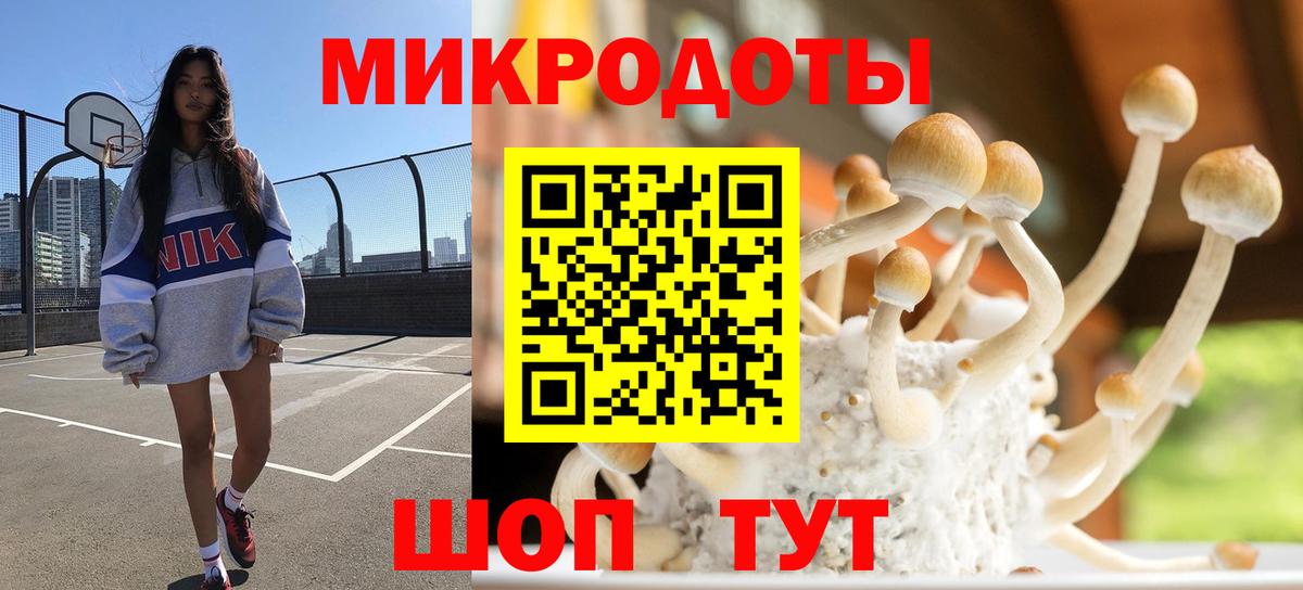Галлюциногенные грибы прущие грибы  сколько стоит  Псилоцибиновые грибы MAGIC MUSHROOMS  Липецк  Вход с VPN 
